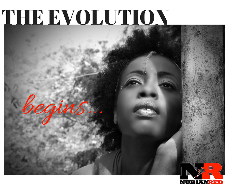 The Evolution Begins